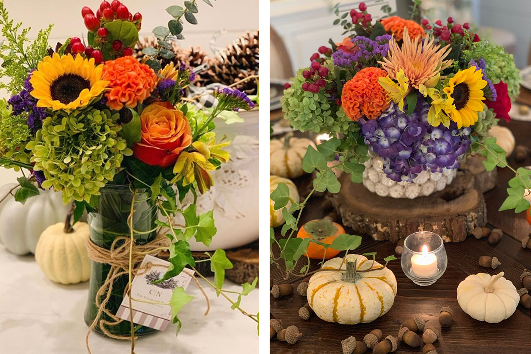 2019 Fall and Winter Flowers In Review